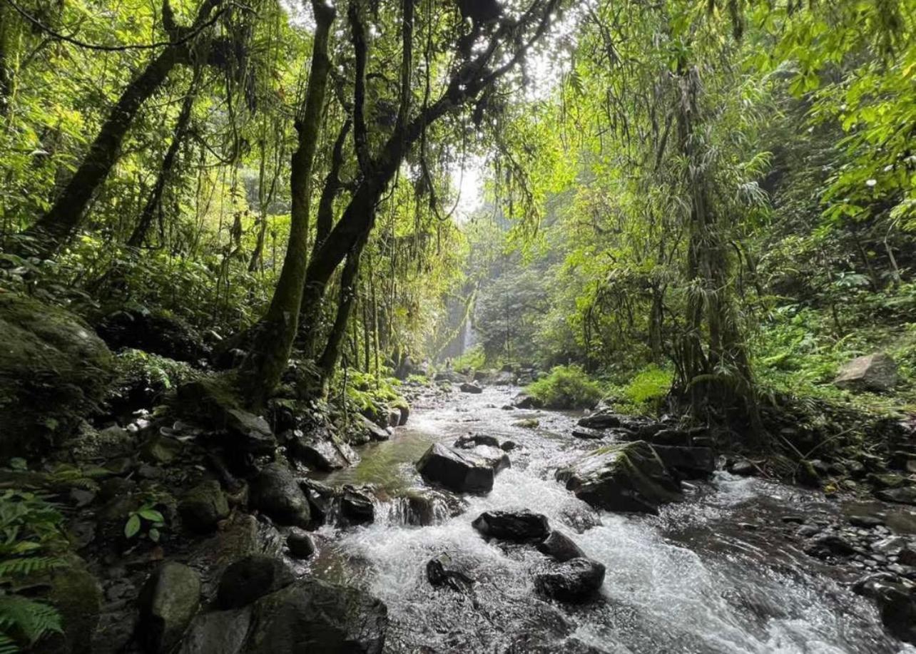 Opik Homestay Tete Batu Tetebatu Extérieur photo