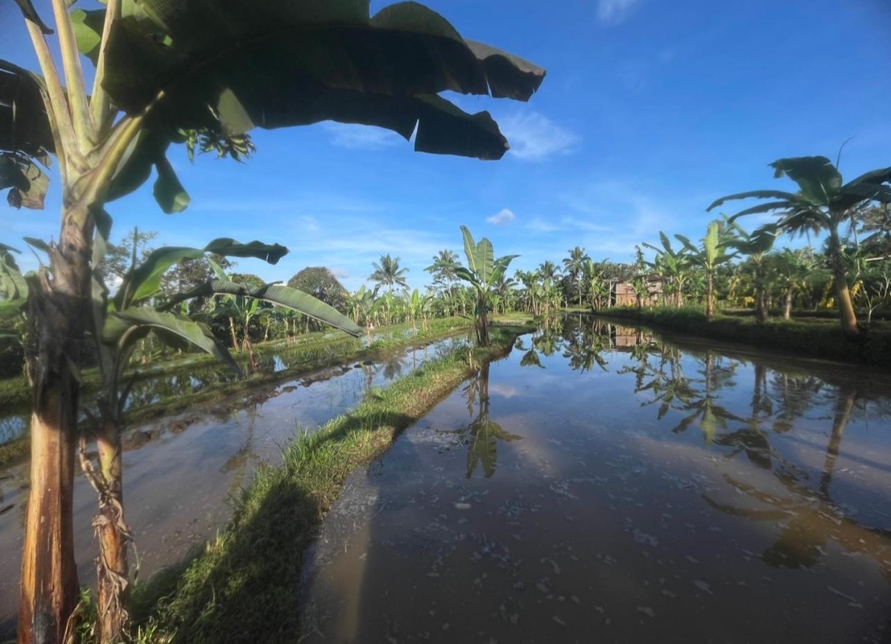 Opik Homestay Tete Batu Tetebatu Extérieur photo