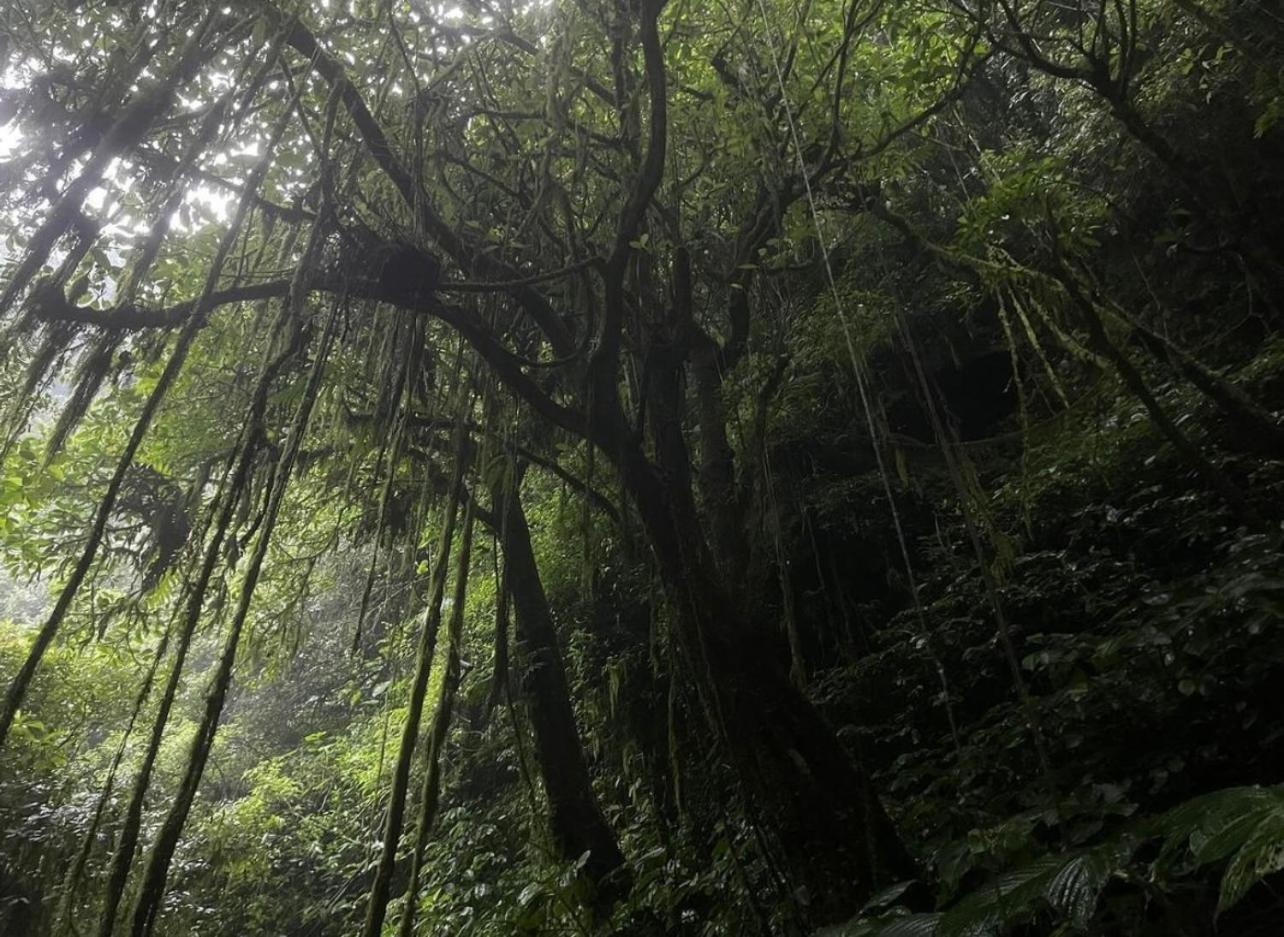 Opik Homestay Tete Batu Tetebatu Extérieur photo