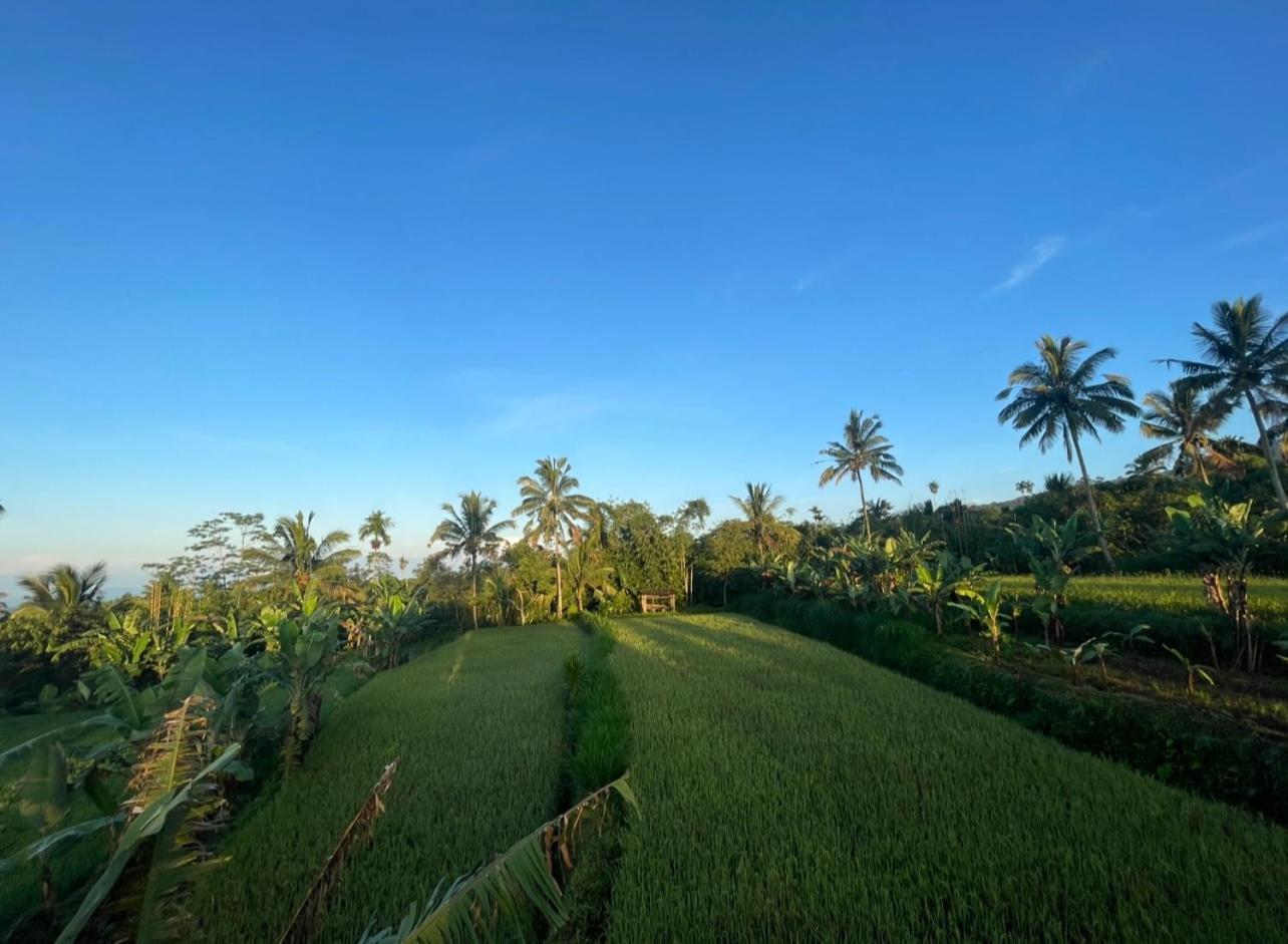 Opik Homestay Tete Batu Tetebatu Extérieur photo