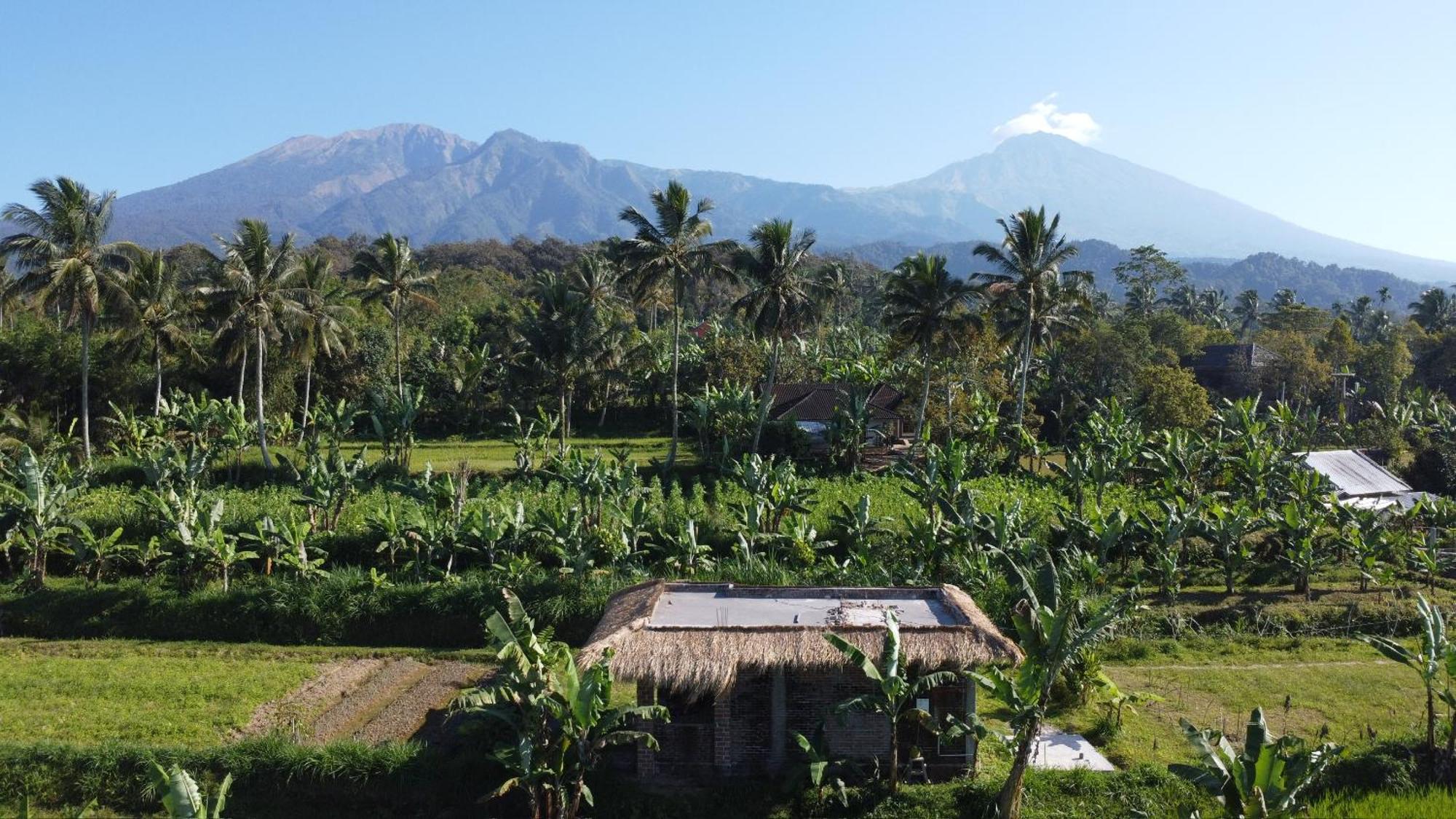 Opik Homestay Tete Batu Tetebatu Extérieur photo