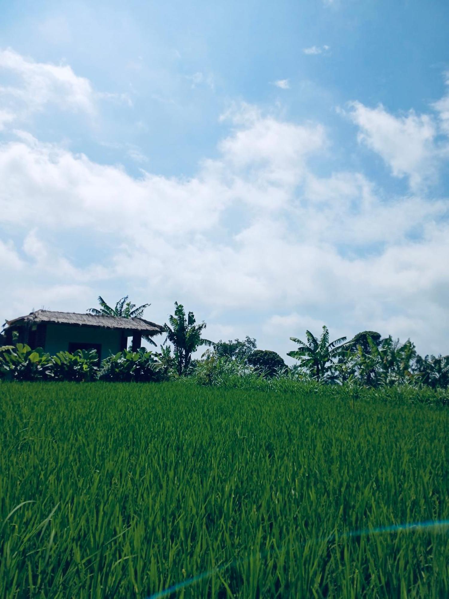Opik Homestay Tete Batu Tetebatu Extérieur photo
