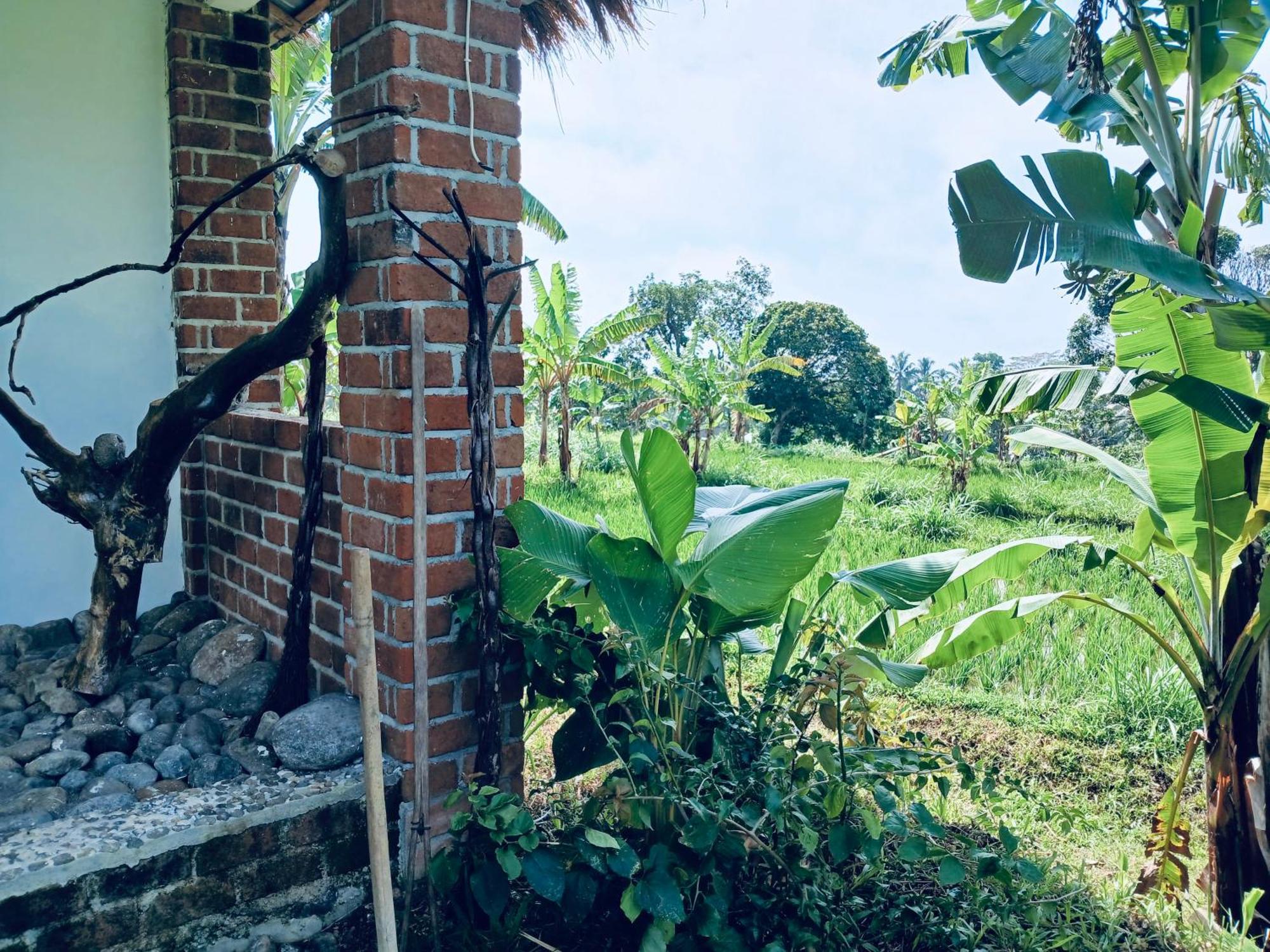 Opik Homestay Tete Batu Tetebatu Extérieur photo